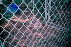 animal-fencing1