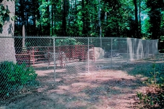 animal-fencing2