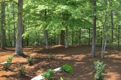 black-aluminum-fencing19