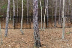 black-aluminum-fencing4