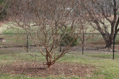 black-chain-link-fencing7