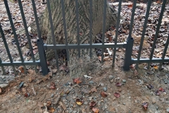 bronze-aluminum-fencing21