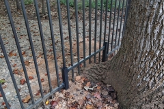 bronze-aluminum-fencing22