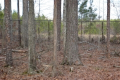 brown-chain-link-fencing2