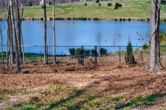 black-chain-link-fencing14 black-chain-link-fencing14