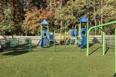 green-chain-link-fencing