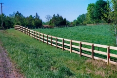 pasture-fencing2