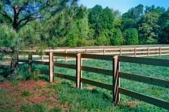 pasture-fencing3