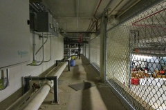 coliseum-fencing18