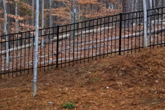 sentinel-aluminum-fencing5