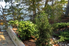 sentinel-aluminum-fencing9