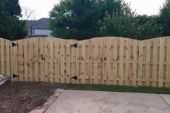 shadowbox-fencing7