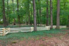 snakefence2