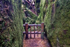 split-rail-fencing3